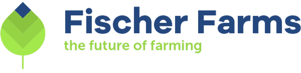 Fischer