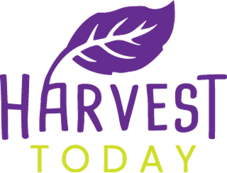 Harvest Today