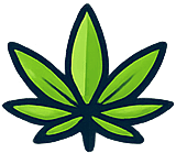 Cannabis illustration