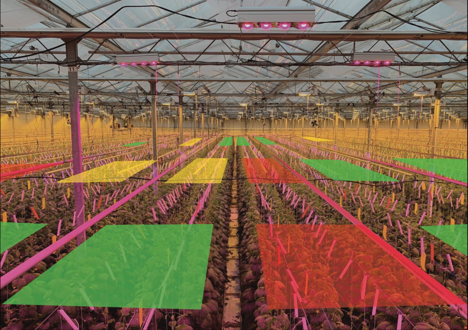 Microclimates heatmap