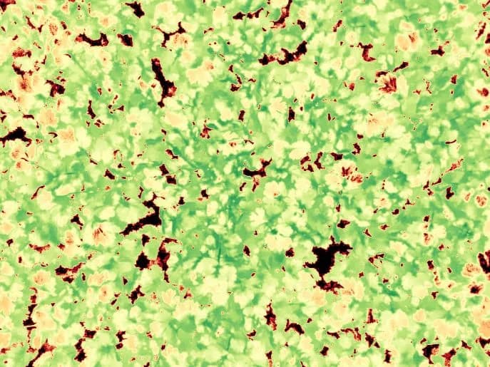 Multispectral Imaging